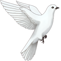 Icono paloma